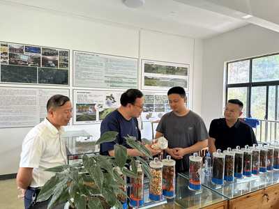 臺(tái)江縣林業(yè)產(chǎn)業(yè)與國(guó)有林場(chǎng)改革調(diào)研 宗煒副局長(zhǎng)強(qiáng)調(diào)優(yōu)化林業(yè)產(chǎn)品銷(xiāo)售渠道