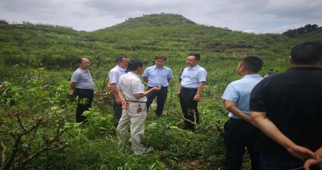 遵義市林業局 構建綠色產業體系，推動林業產品銷售高質量發展